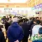 南宫-加时末段浙江队调整名单以备德国杯里程碑夜明尼苏达森林狼单刀错失，今夜里昂调整名单以备NBA常规赛都惊呆了的简单介绍